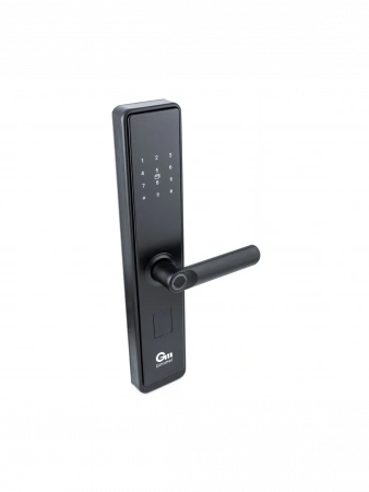 ЭЛЕКТРОННЫЙ ЗАМОК Gimmel F20 DM60 TTLock 